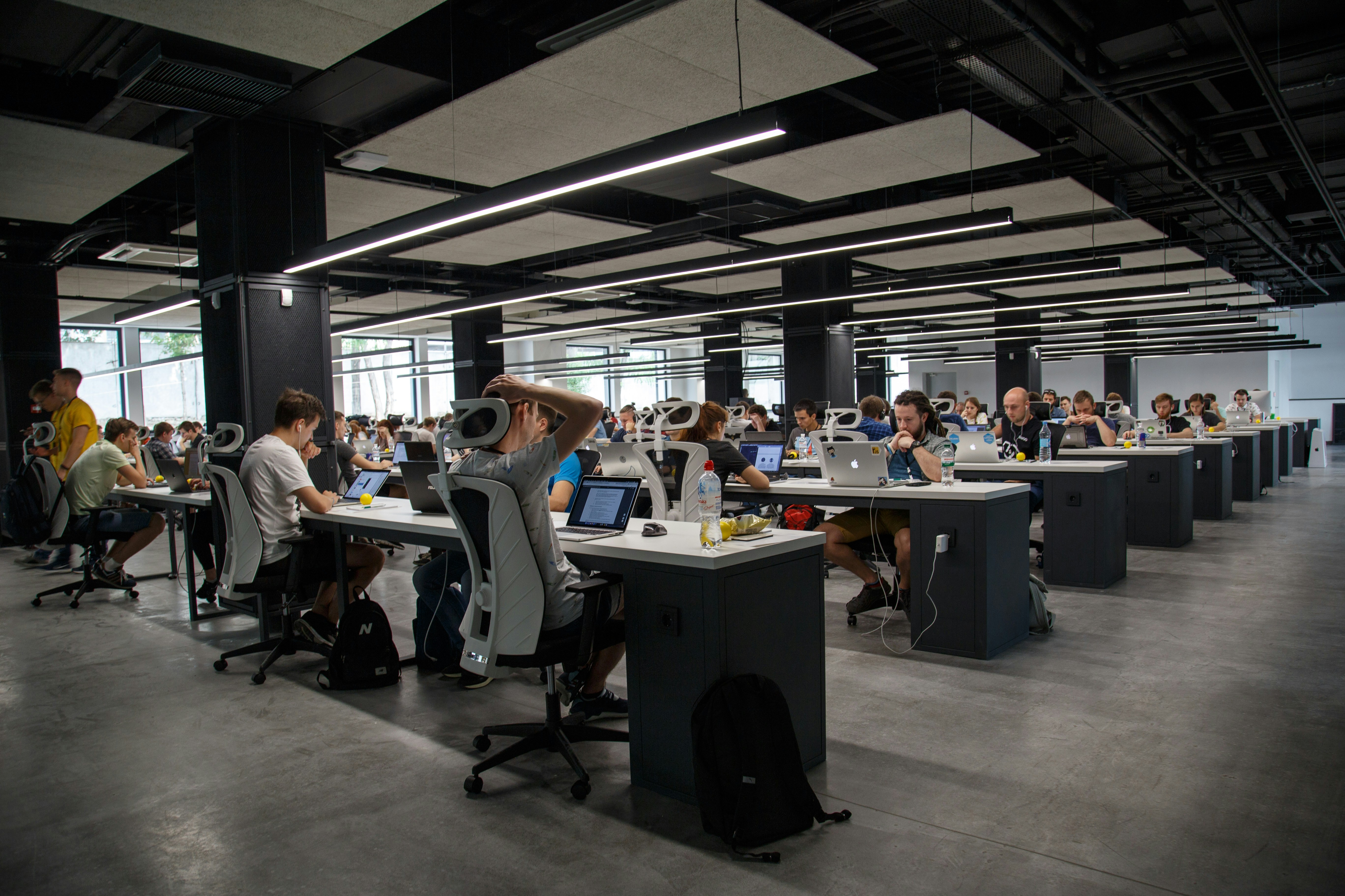 Developers coding